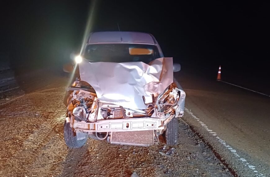 Chocó contra un camión tras ser encandilada por una caravana de colectivos sobre la Ruta 3