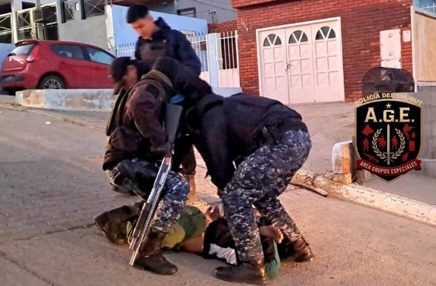 Una mujer redujo a un ladrón que escapaba con un televisor y permitió su detención