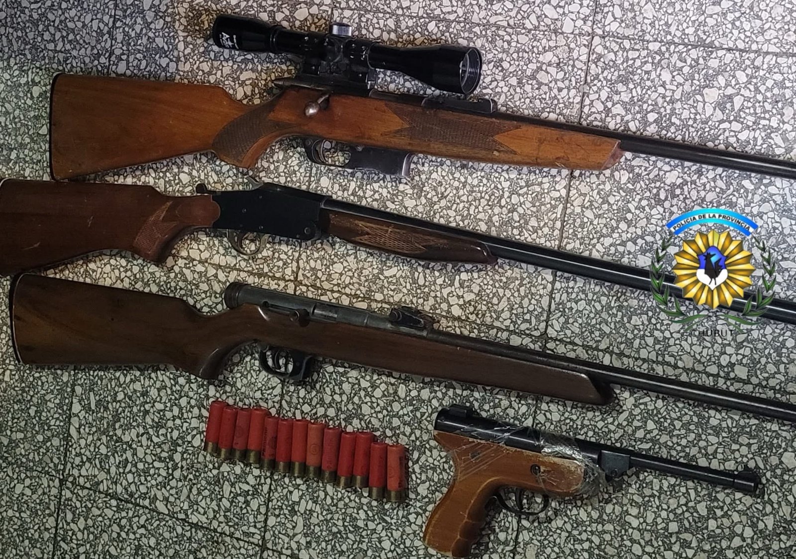 Recuperaron un auto robado en un allanamiento y secuestraron armas y municiones