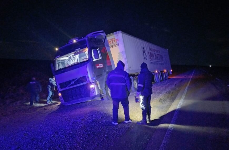 Camión despistó tras esquivar un objeto sobre la Ruta Nacional 3