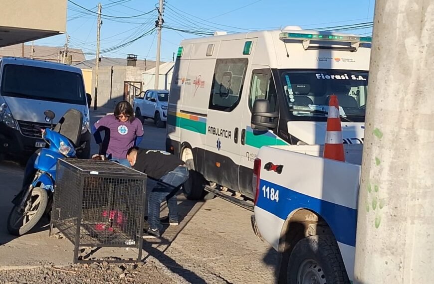 Una motociclista terminó hospitalizada tras caer al esquivar un perro en Km 8