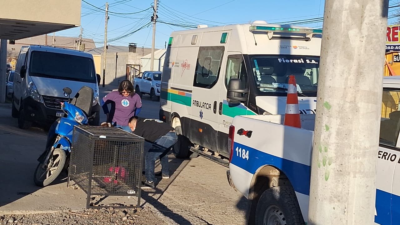 Una motociclista terminó hospitalizada tras caer al esquivar un perro en Km 8