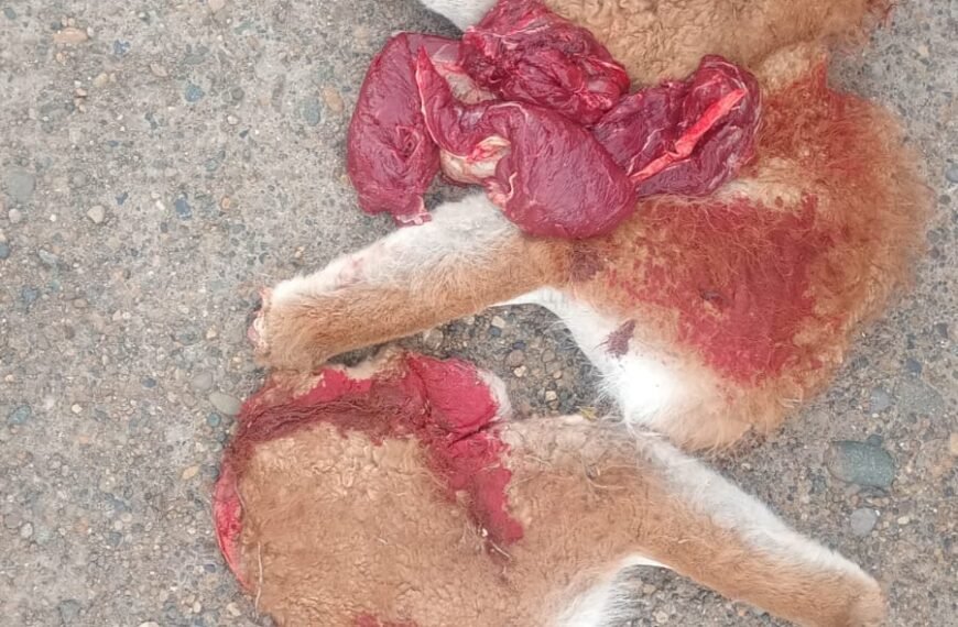 Detectaron a tres hombres con armas y piezas&hellip;