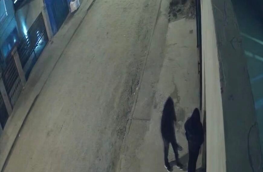 Alerta por un presunto abusador en barrio San Cayetano: buscan identificarlo tras manosear a una mujer