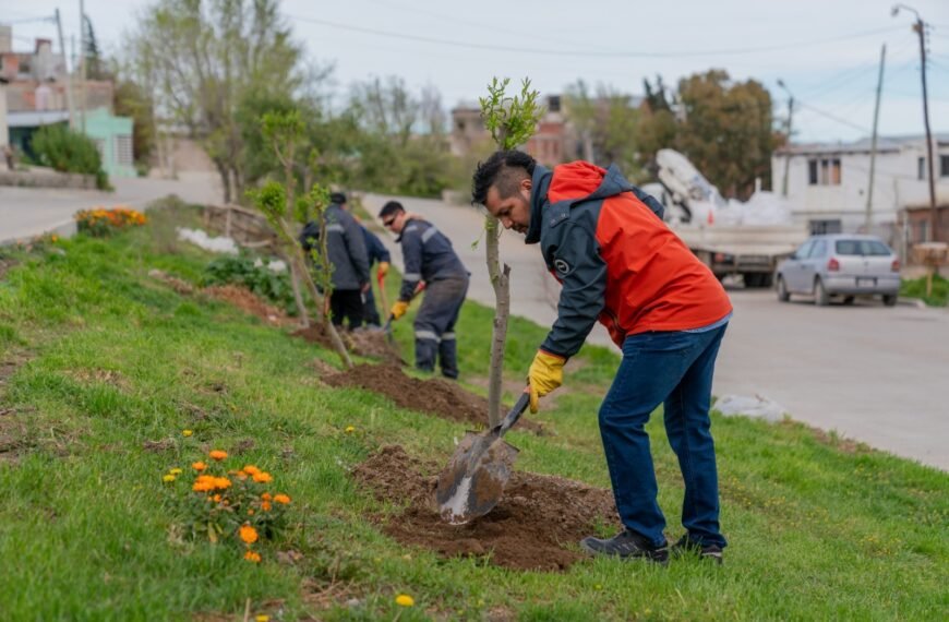 Comodoro fortalece el arbolado urbano con nuevas plantaciones&hellip;