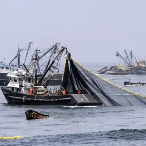 Luque junto a Diputados de UxP pidieron acelerar el tratamiento del proyecto que agrava las penas por pesca ilegal