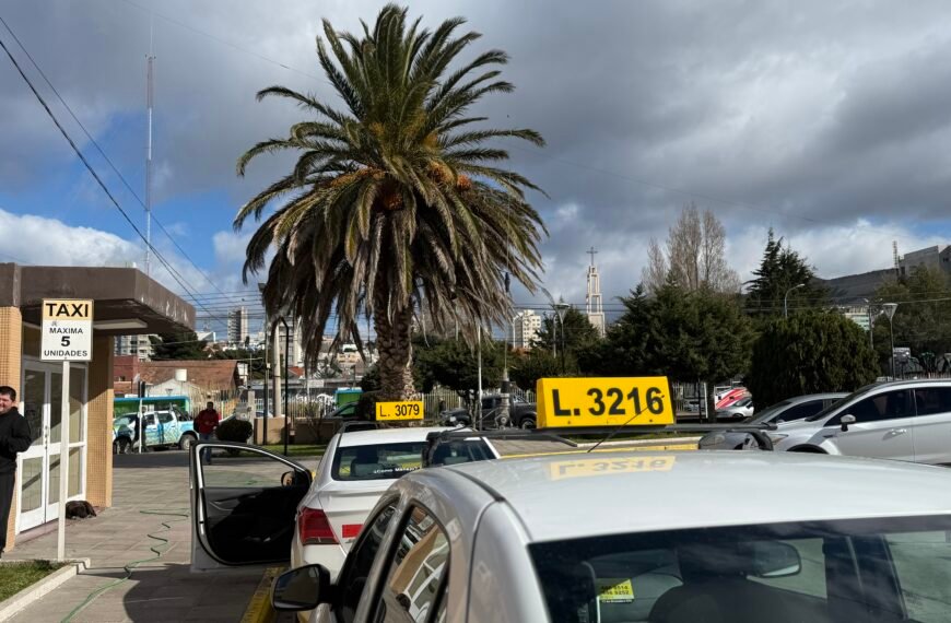 “Taxi Comodoro”: los taxistas lanzarán su propia aplicación para pedir viajes