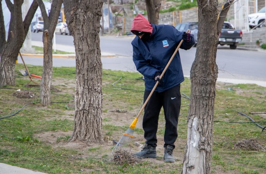 Se refuerzan los trabajos de limpieza y mantenimiento&hellip;