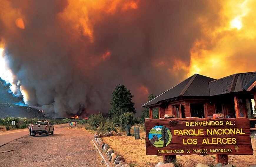Luque advirtió por la situación irregular del Parque Nacional Los Alerces y presentó un pedido de informes preocupado por el presupuesto para prevenir incendios
