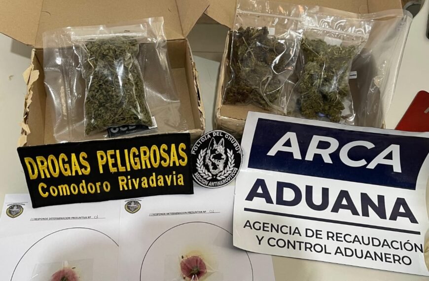 Secuestraron 225 gramos de cannabis y 600 municiones&hellip;