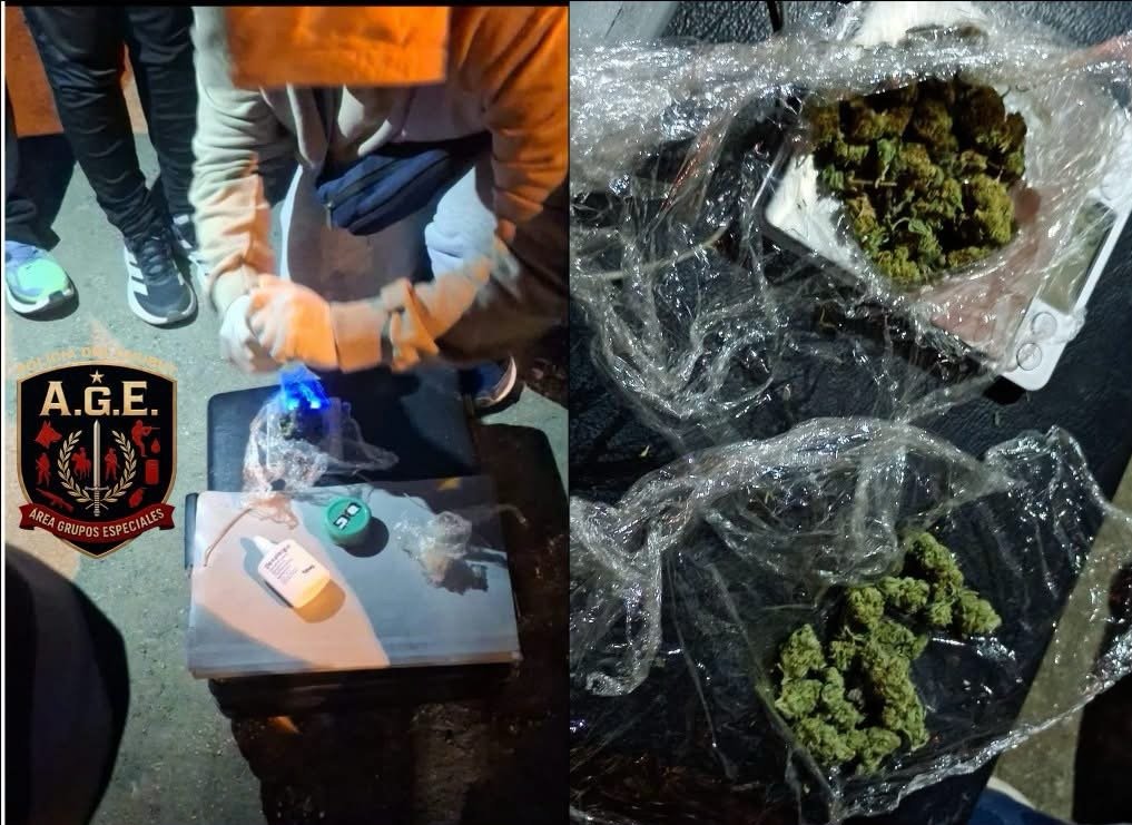 Un perro de la División Canes detectó cannabis durante un control en Km 5