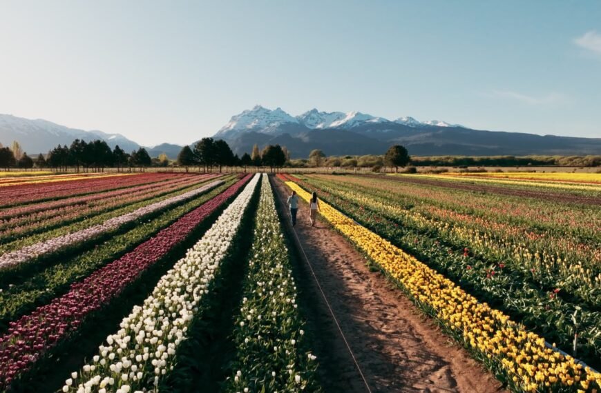 Trevelin inaugura la Temporada de Tulipanes 2026 con…